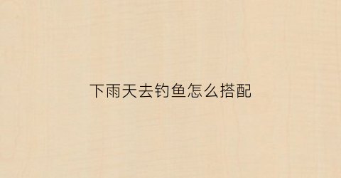 下雨天去钓鱼怎么搭配(下雨天钓鱼该怎么钓)