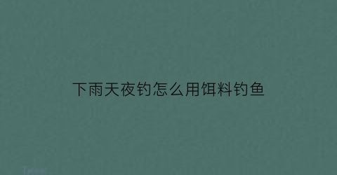 下雨天夜钓怎么用饵料钓鱼(雨天夜钓鱼怎么钓鱼)