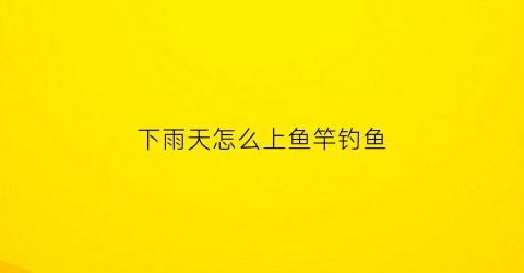 下雨天怎么上鱼竿钓鱼(下雨天怎么钓大鱼)
