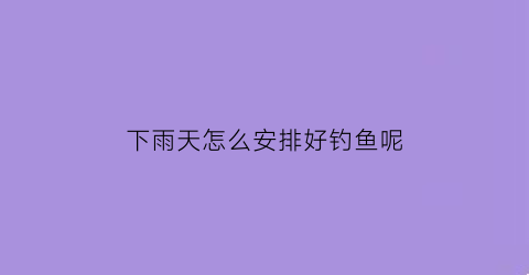 下雨天怎么安排好钓鱼呢(下雨天怎么样才能钓到鱼)