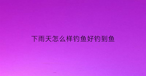 下雨天怎么样钓鱼好钓到鱼(下雨天怎么样钓鱼好钓到鱼呢视频)
