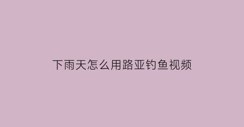下雨天怎么用路亚钓鱼视频(下雨天怎么用路亚钓鱼视频讲解)