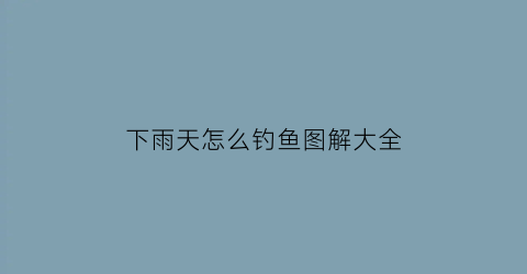 下雨天怎么钓鱼图解大全(钓鱼技巧大全怎样在下雨天钓鱼)