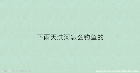 下雨天洪河怎么钓鱼的(下雨天大河钓鱼技巧)
