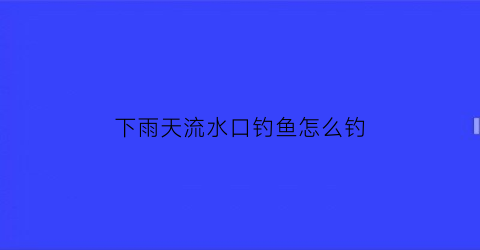 下雨天流水口钓鱼怎么钓(下雨天出水口好钓鱼吗)