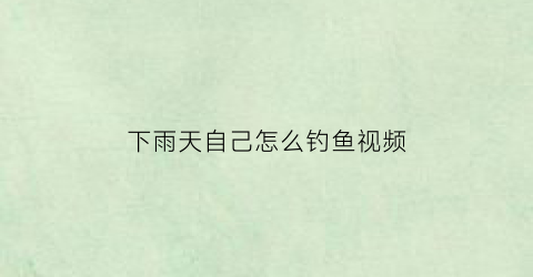 下雨天自己怎么钓鱼视频(下雨天怎么钓大鱼)