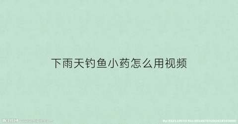 下雨天钓鱼小药怎么用视频