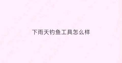 下雨天钓鱼工具怎么样(下雨天钓鱼钓)