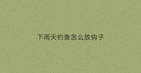 下雨天钓鱼怎么放钩子(下雨天钓鱼鱼钩要沉底吗)