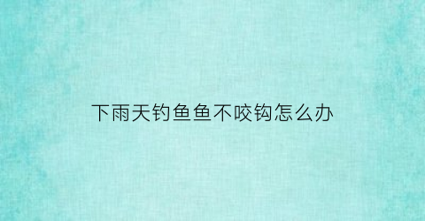 “下雨天钓鱼鱼不咬钩怎么办(下雨天钓鱼鱼不咬钩怎么办视频)