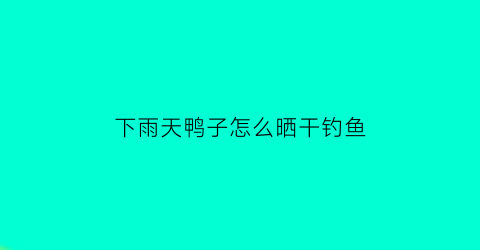 下雨天鸭子怎么晒干钓鱼(下雨天鸭子可以放在外面吗)