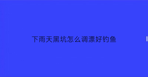 下雨天黑坑怎么调漂好钓鱼(下雨天黑坑怎么钓鱼)