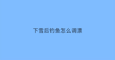 下雪后钓鱼怎么调漂(下雪钓鱼钓深还是钓浅)