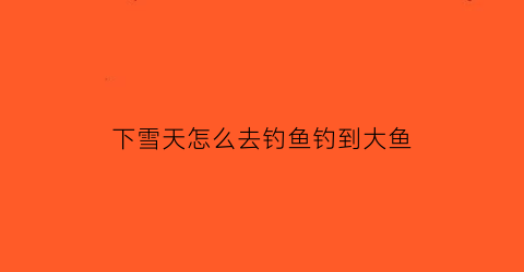 下雪天怎么去钓鱼钓到大鱼(下雪天怎么去钓鱼钓到大鱼呢)