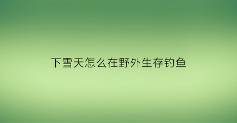 下雪天怎么在野外生存钓鱼(下雪天能野钓吗)