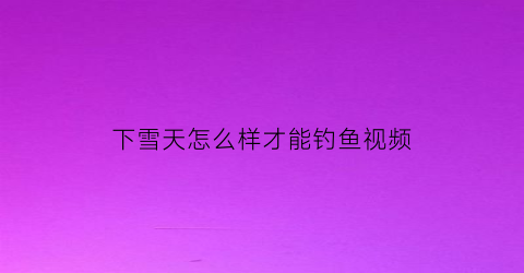 下雪天怎么样才能钓鱼视频(下雪天气好钓鱼吗)