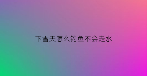 “下雪天怎么钓鱼不会走水(下雪天能钓鱼吗答案那是肯定的但你知道要怎么钓吗)