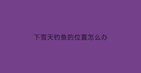 下雪天钓鱼的位置怎么办(下雪后钓鱼能钓到吗)