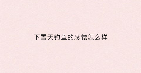下雪天钓鱼的感觉怎么样(下雪天好钓鱼)