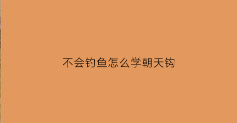 不会钓鱼怎么学朝天钩(朝天钩怎么钓不到鱼)