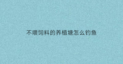 不喂饲料的养植塘怎么钓鱼(鱼塘鱼不吃饲料)