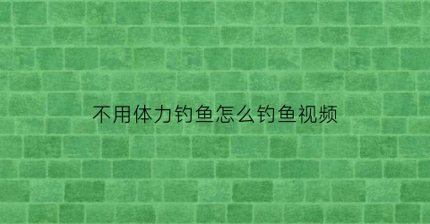 不用体力钓鱼怎么钓鱼视频(懒人钓鱼法不用鱼竿)