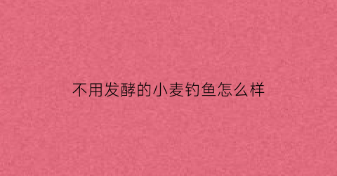 不用发酵的小麦钓鱼怎么样(小麦粉不用酵母粉也能发两倍大吗)