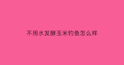 不用水发酵玉米钓鱼怎么样(老玉米不发酵打窝可以吗)