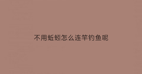 “不用蚯蚓怎么连竿钓鱼呢(不用蚯蚓怎么连竿钓鱼呢图片)