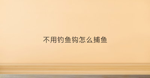 不用钓鱼钩怎么捕鱼(不用钓鱼竿怎么捕鱼)
