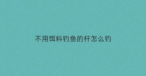 不用饵料钓鱼的杆怎么钓(不用诱饵的鱼竿叫什么)