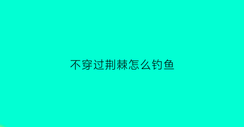 不穿过荆棘怎么钓鱼