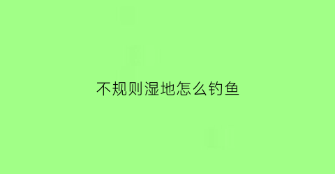 不规则湿地怎么钓鱼(不规则湿地怎么钓鱼视频)