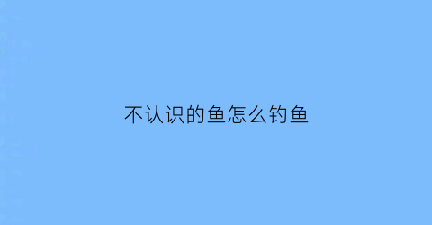 不认识的鱼怎么钓鱼(不认识鱼怎么办)