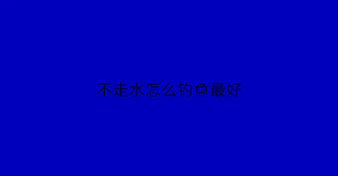 不走水怎么钓鱼最好(不走水鱼漂)