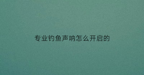 专业钓鱼声呐怎么开启的