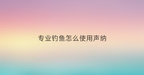 专业钓鱼怎么使用声纳(声呐打鱼)