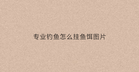 专业钓鱼怎么挂鱼饵图片(专业钓鱼的怎么赚钱)