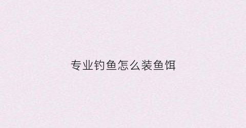 专业钓鱼怎么装鱼饵(专业钓鱼怎么装备鱼竿)