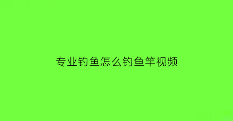 专业钓鱼怎么钓鱼竿视频(专业钓鱼怎么钓鱼竿视频讲解)