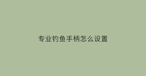 专业钓鱼手柄怎么设置