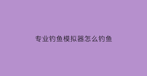 “专业钓鱼模拟器怎么钓鱼(模拟专业钓鱼2009)