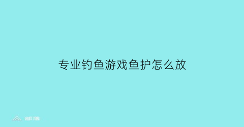 专业钓鱼游戏鱼护怎么放(鱼护怎么放在钓箱上)