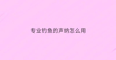 专业钓鱼的声纳怎么用