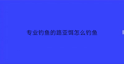 “专业钓鱼的路亚饵怎么钓鱼(专业路亚竿有什么品牌)