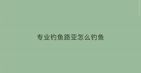 专业钓鱼路亚怎么钓鱼