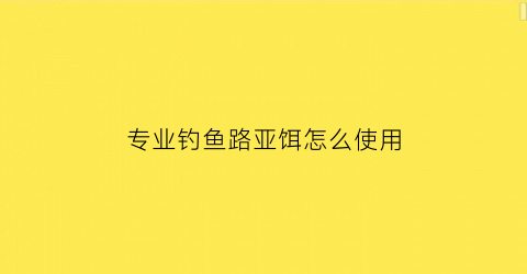 专业钓鱼路亚饵怎么使用