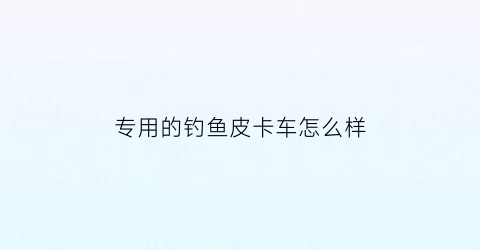 专用的钓鱼皮卡车怎么样(钓鱼钓皮卡)
