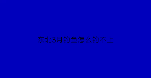 东北3月钓鱼怎么钓不上