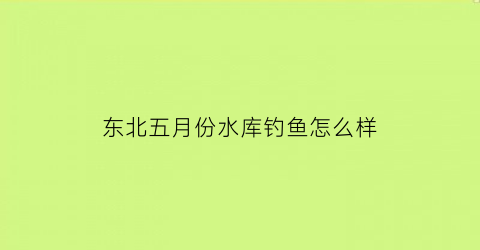 东北五月份水库钓鱼怎么样(北方五月水库钓鱼)